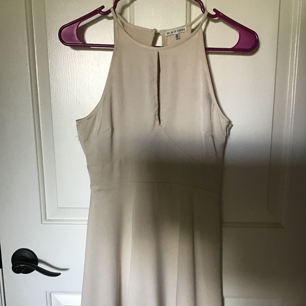 Black Swan Dress